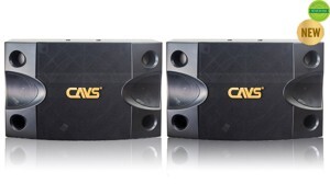 Loa karaoke CAVS 2000SE