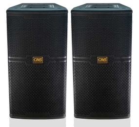 Loa Cavs CS-301E Designed USA