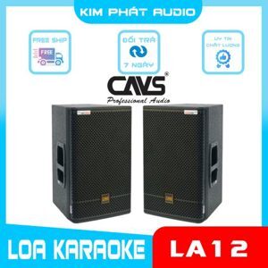 Loa CAVS LA12