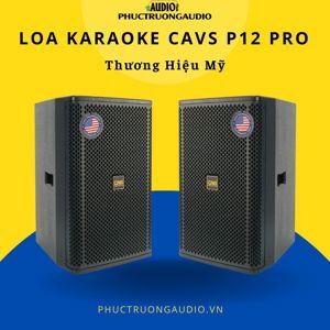 Loa CAVS P12