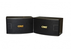 Loa CAVS SP500