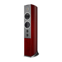 Loa Cây (Floorstanding) Audiovector R6 Avantgarde