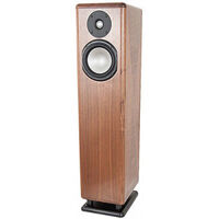 loa Chario thùng cao đứng dưới sàn Syntar 530R walnut