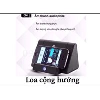 Loa cộng hưởng