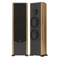 Loa cột Paramax FX-2500 (Nâu)