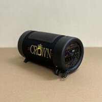 Loa CROWN 4 co bluetooth - hàng chính hãng