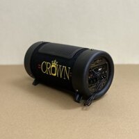 Loa CROWN 4 có bluetooth
