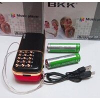🎶Loa đài Radio BKK-B851