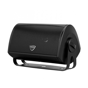 Loa Definitive Technology AW 5500