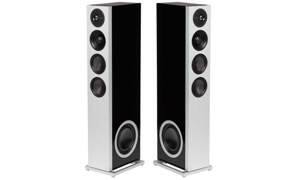 Loa Definitive Technology Demand D15