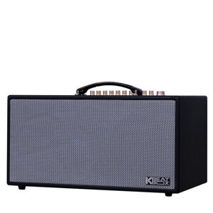 Loa di động Acnos CS450SR