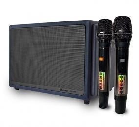 Loa di động Arirang Classic I