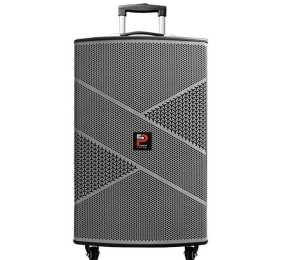 Loa di động karaoke Prosing W12