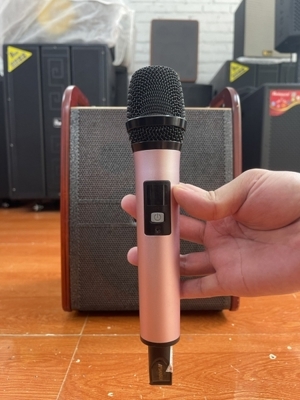 Loa di động karaoke Sansui SY06-01