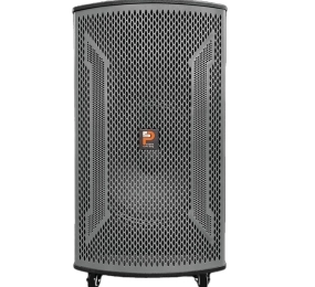 Loa di động Prosing W15 VN