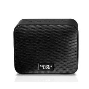 Loa di động SoundMax R-300