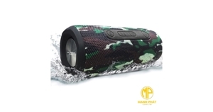 Loa di động SoundMax R-800