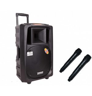 Loa di động Temeisheng 2398