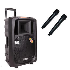 Loa di động Temeisheng 2398