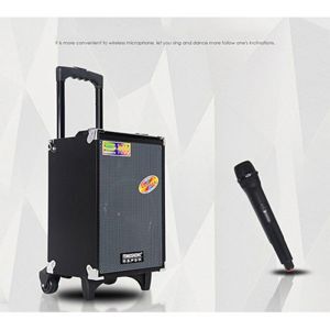 Loa di động Temeisheng A8-2T