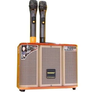 Loa di động Temeisheng GD06-39