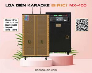 Loa điện Karaoke Birici MX-400 300W