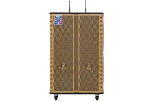 Loa điện Karaoke Birici MX-400 300W