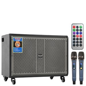 Loa điện karaoke SuYang X-108