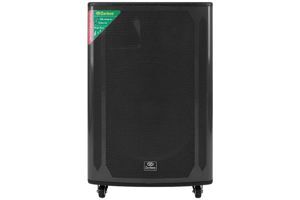 Loa điện karaoke Zenbos K-368