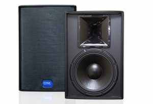 Loa DMX ES10