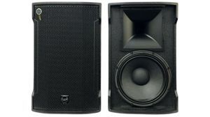 Loa đồng trục CAVS CM12