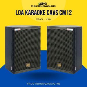Loa đồng trục CAVS CM12