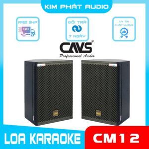 Loa đồng trục CAVS CM12