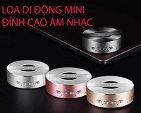 Loa dung cho dien thoai di dong Loa karaoke bluetooth mini Loa nghe nhạc hay  Loa nghe nhạc máy tính Mẫu513