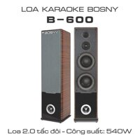 LOA ĐỨNG KARAOKE BOSNY B-600