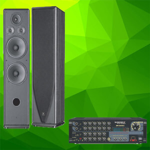 Loa đứng Nanomax S 685