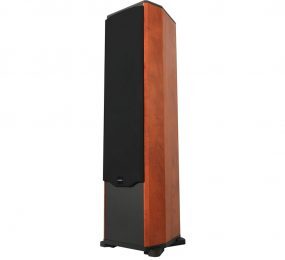 Loa đứng Paramax Platinum FX­1500