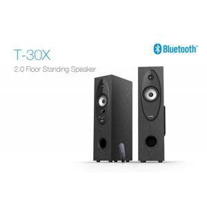 Loa Fenda T30X (T-30X)