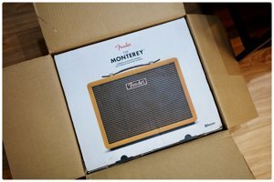 Loa Fender Monterey Tweed