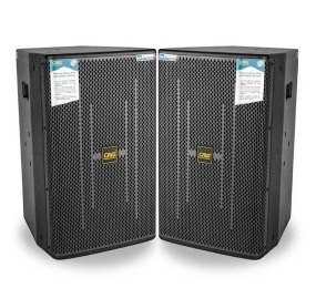 Loa Full CAVS XB12 Plus