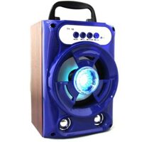 Loa gỗ Bluetooth xách tay TX-018