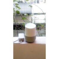 Loa Google Home