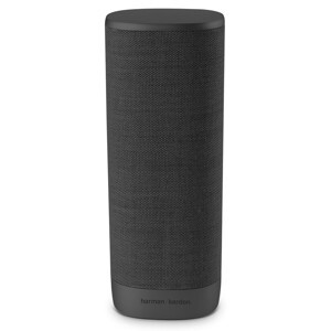 Loa Harman Kardon Citation Surround