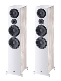 Loa HECO AURORA 1000