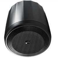 Loa Hội Trường JBL Control 65 P/T