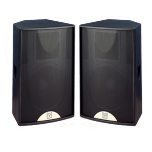 Loa hội trường Martin F12