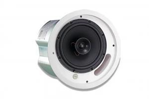 Loa JBL Control 18C/T