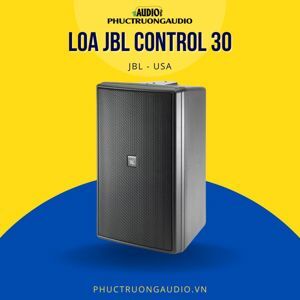 Loa treo tường JBL Control 30