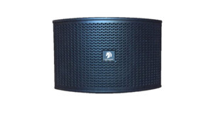 Loa karaoke AAD KM10