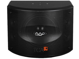 Loa karaoke AAD KM410